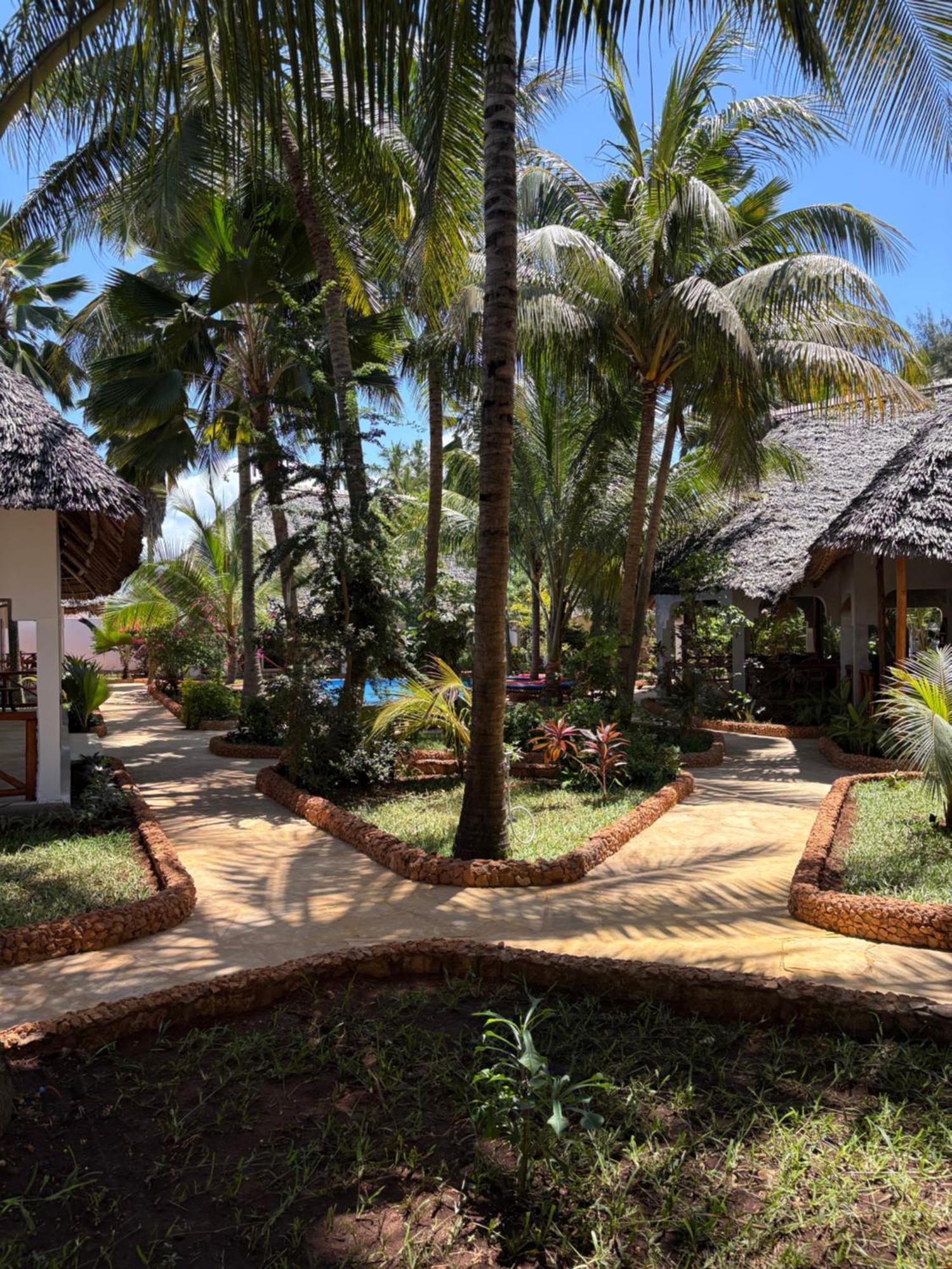 African Bungalows Nungwi Ngoại thất bức ảnh