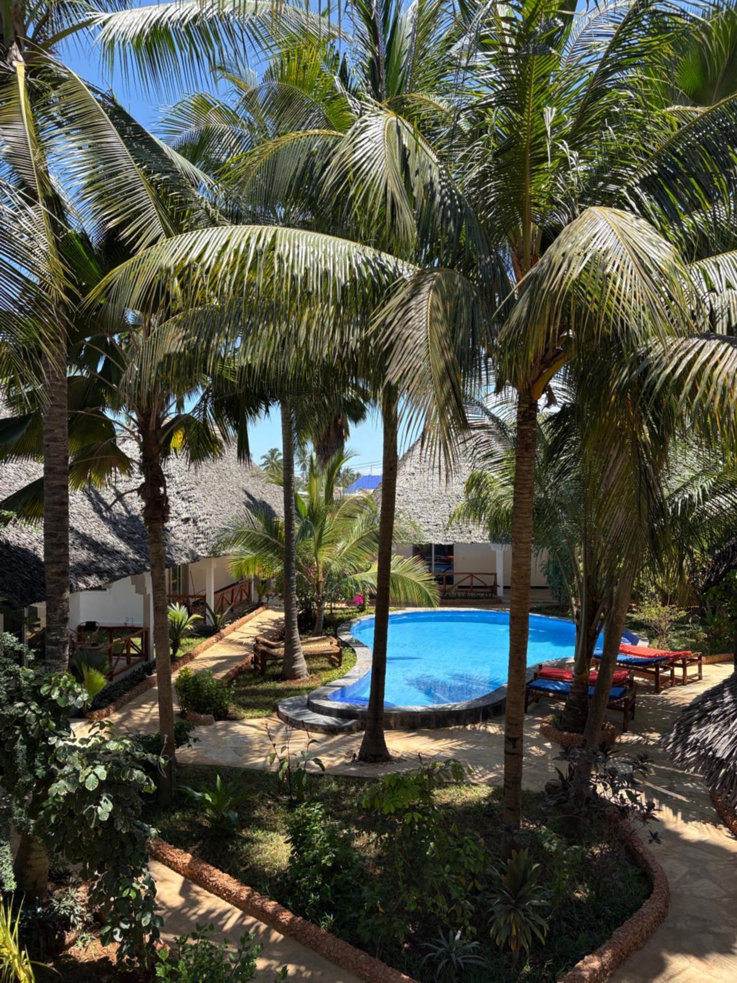 African Bungalows Nungwi Ngoại thất bức ảnh
