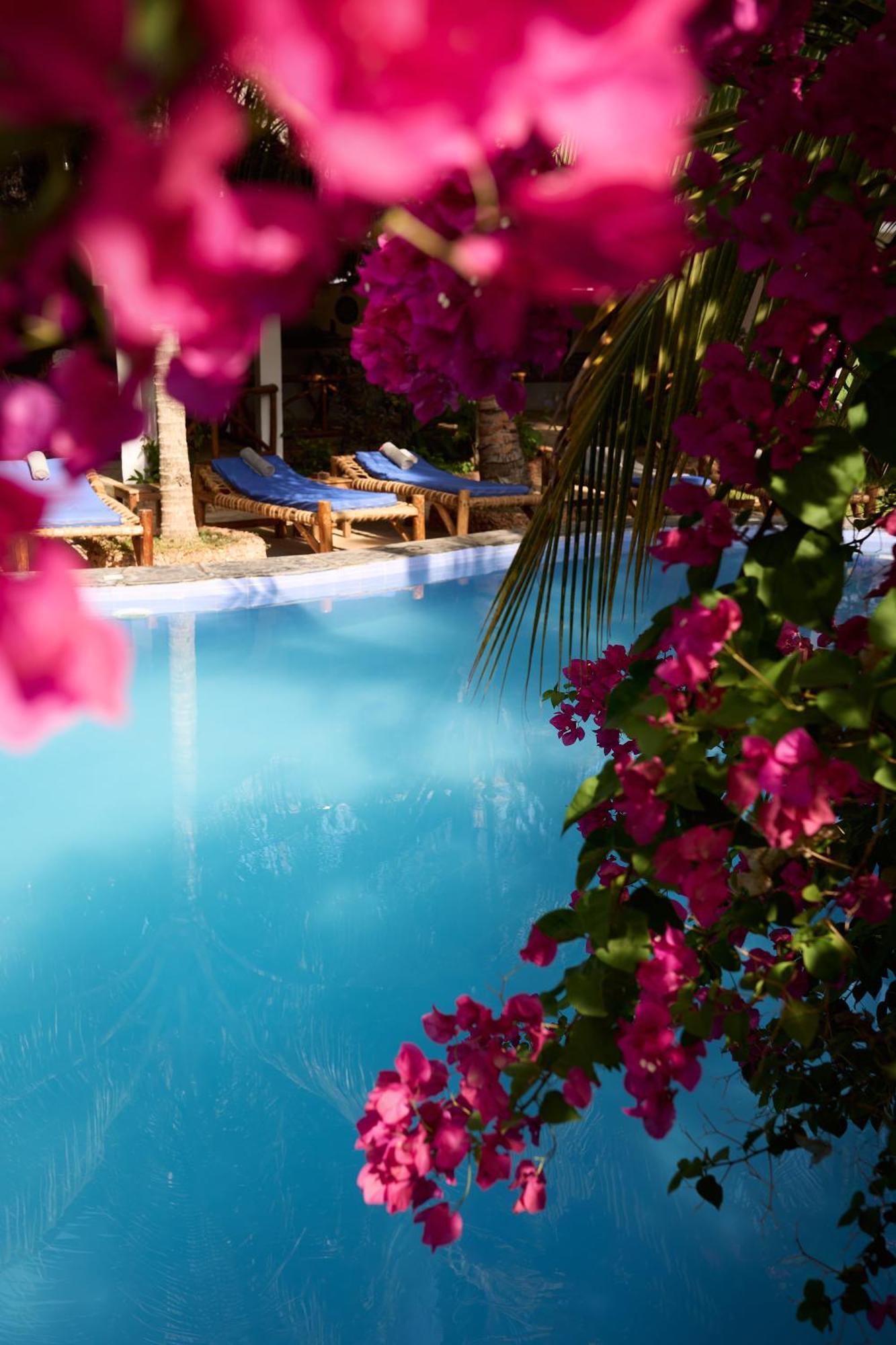 African Bungalows Nungwi Ngoại thất bức ảnh