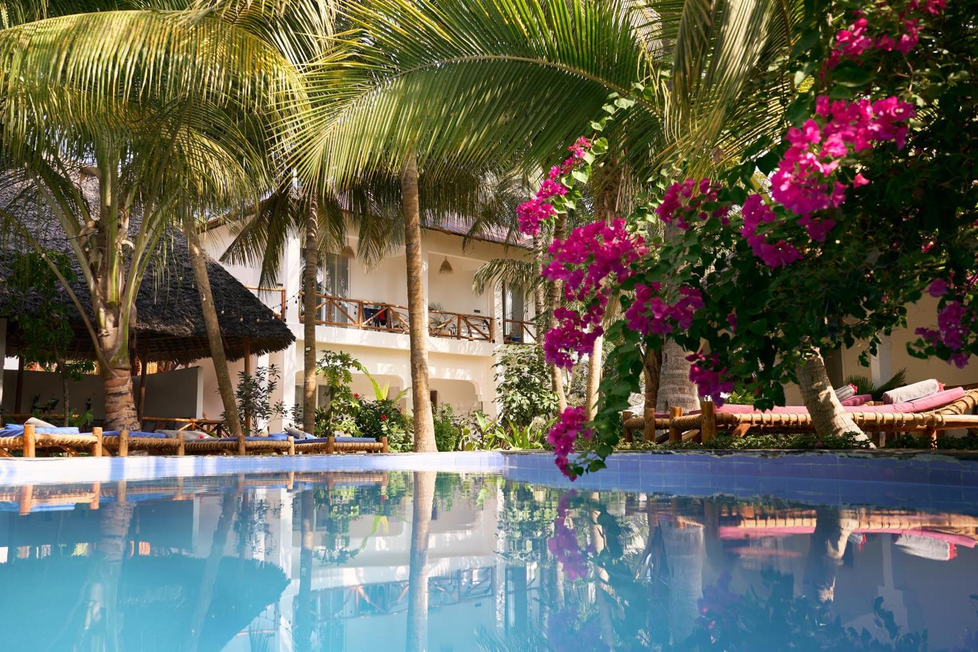 African Bungalows Nungwi Ngoại thất bức ảnh